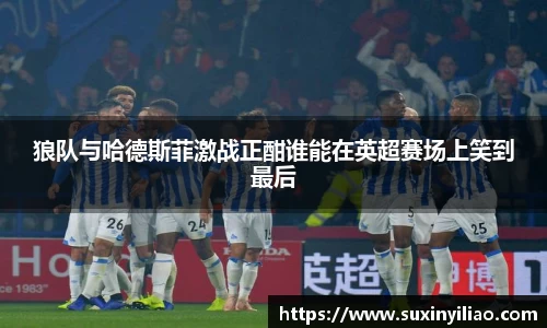 狼队与哈德斯菲激战正酣谁能在英超赛场上笑到最后